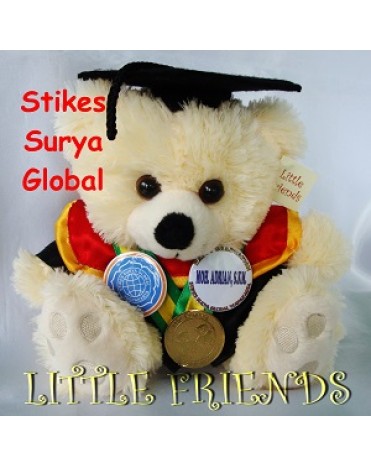 Boneka Wisuda Stikes Surya Global - Kesehatan Masyarakat (25 cm)